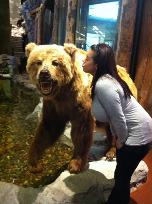 what bear? by aLinkToTheFast