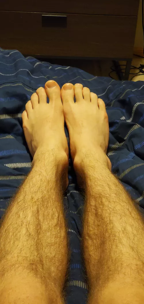 what do u think of them? by unknownunregistered