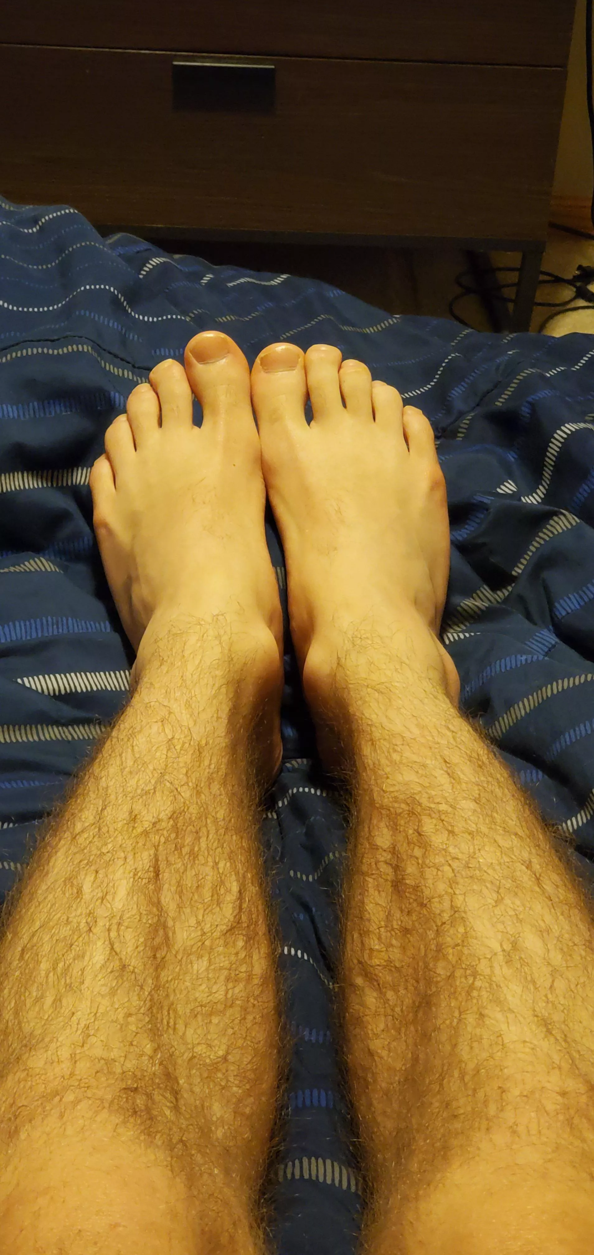 what do u think of them? posted by unknownunregistered