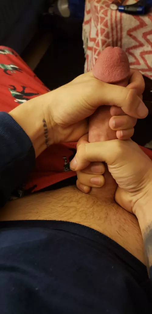 what do ya think? by thecrimsont