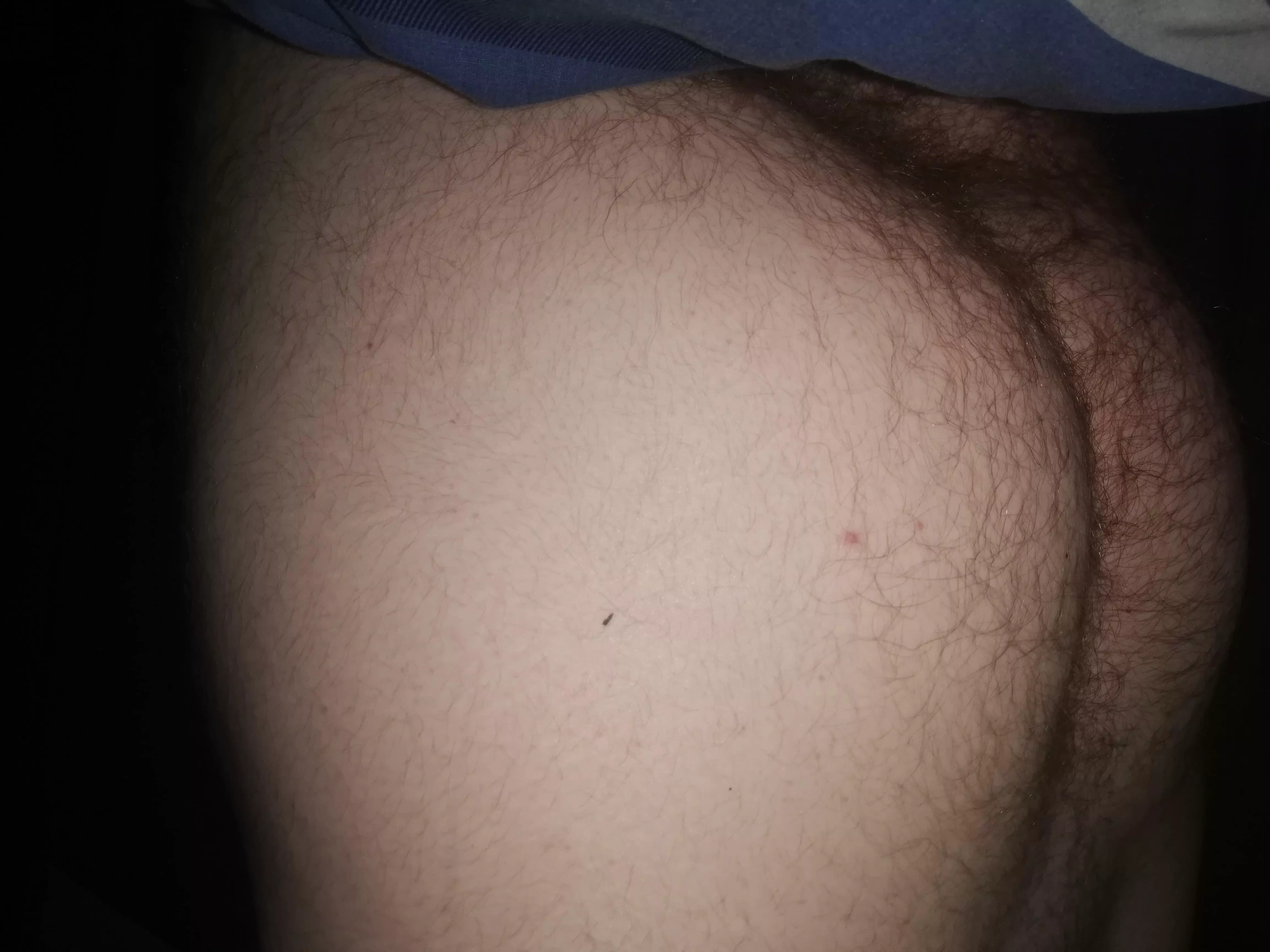 what do yall think of my fat ginger hairy ass? posted by Fagmaster69xx