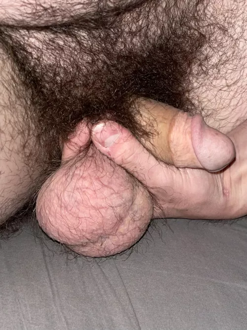 What do y’all think of my hairy eggs and softie? by Y-CB