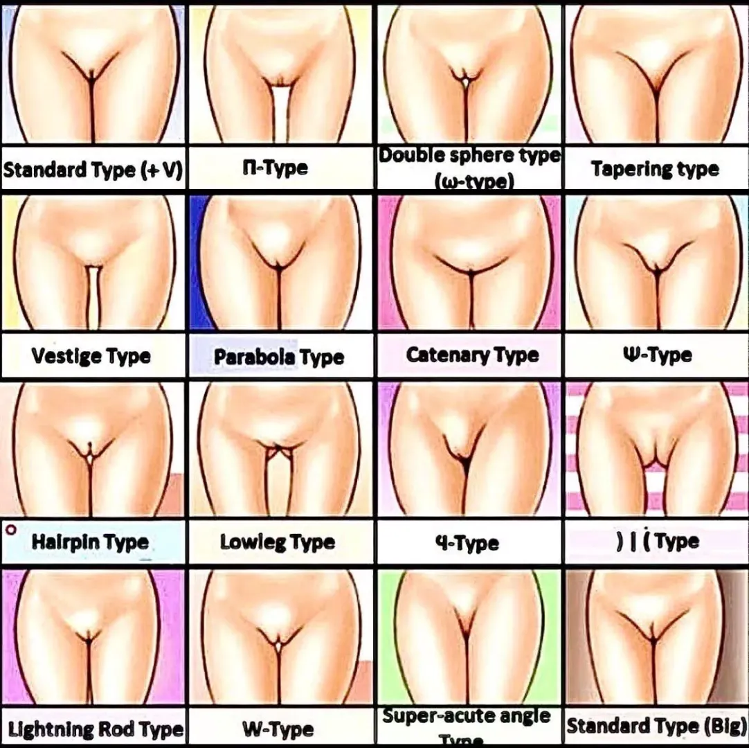 What do you like/What do you have? posted by Amtexas84