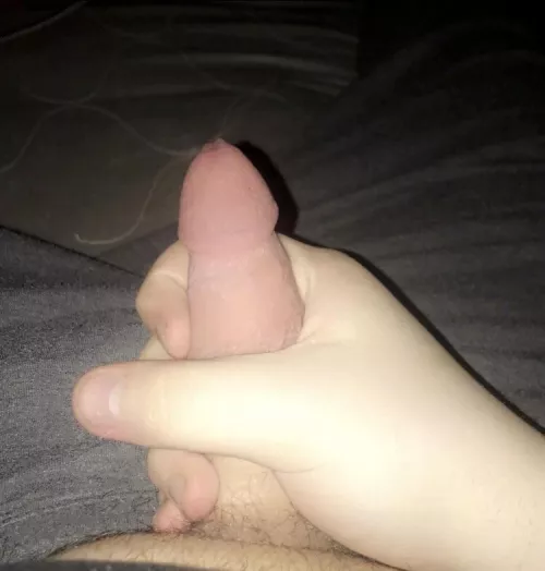 what do you think ;) [19] by AliveDevelopment7124