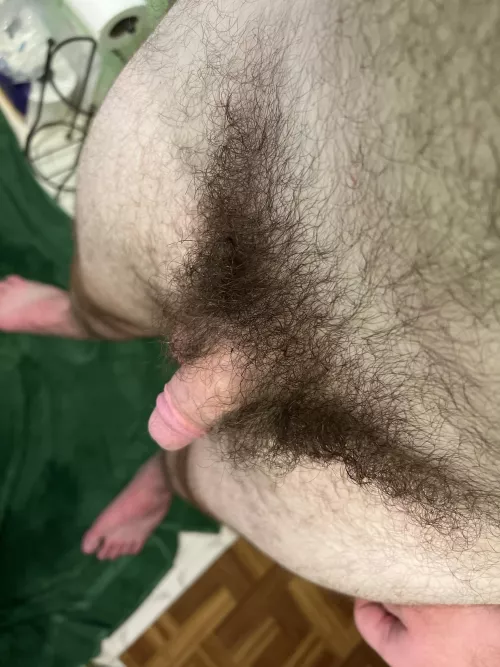 What do you think? by plups2