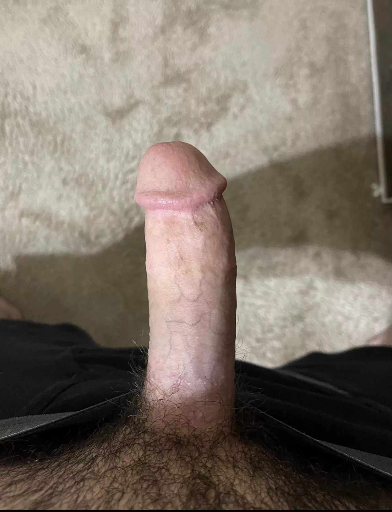 What do you think? posted by Creative-Nobody-2764