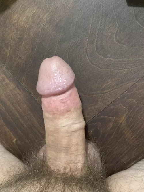 What do you think? by Sharkhunter42