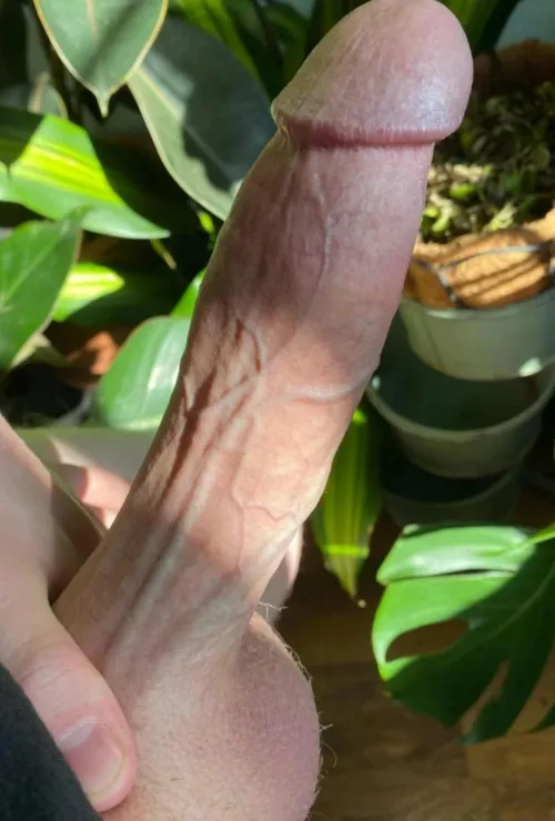 What do you think about my plants? by burneract-2021