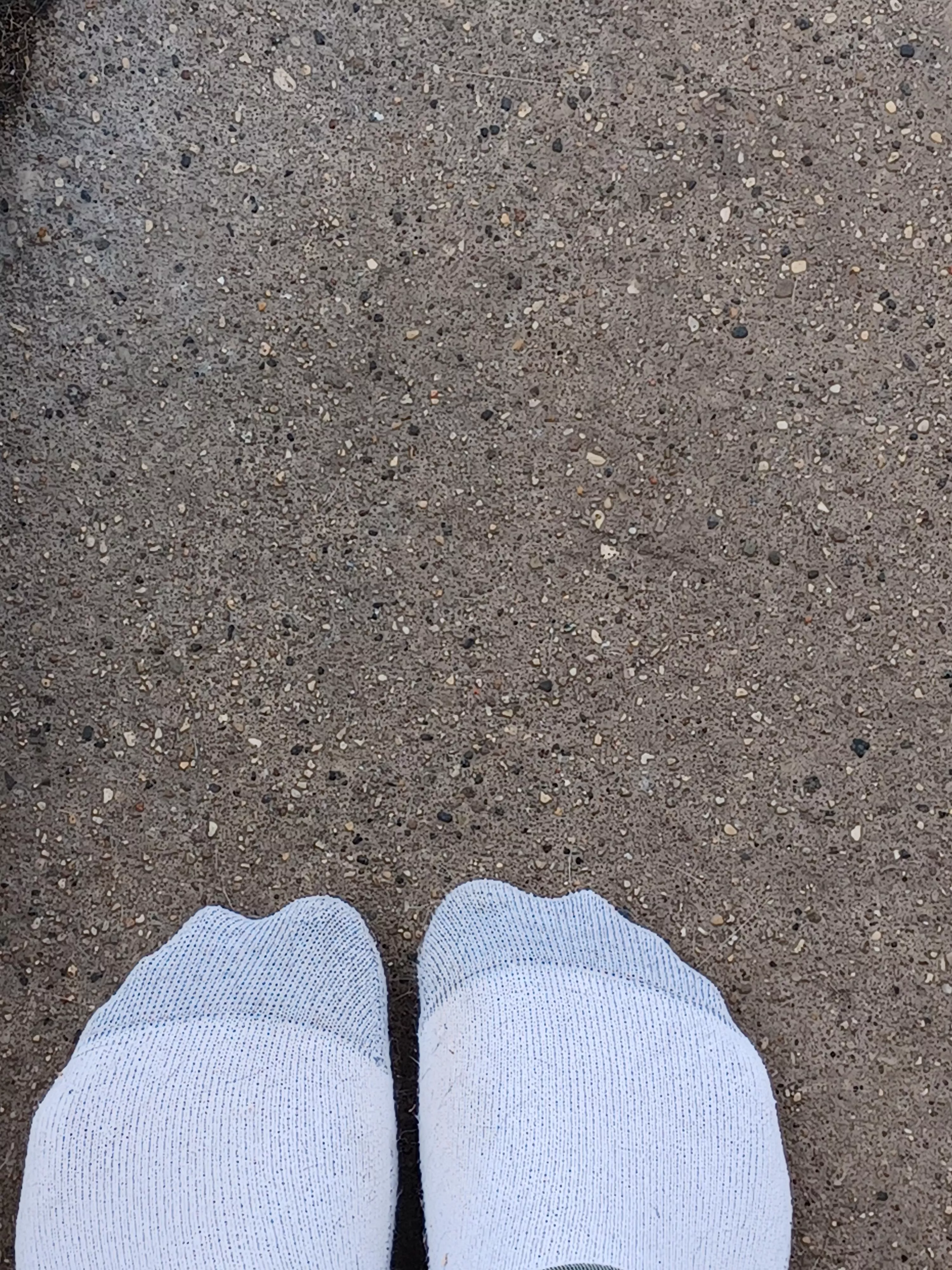 what do you think about the proprotional length of my toes? posted by sidedishx