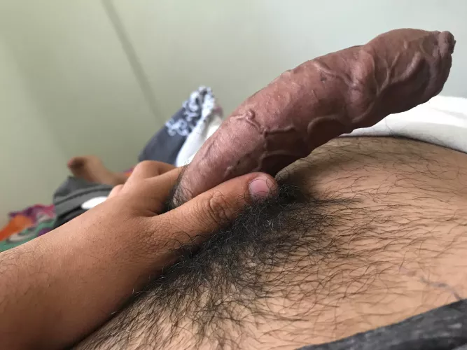 What do you think about Virgin Dick? by gurupop