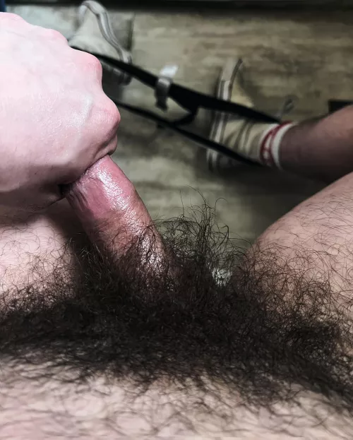 What do you think, boys? My bush is growing in pretty nicely. by hunk-spunk