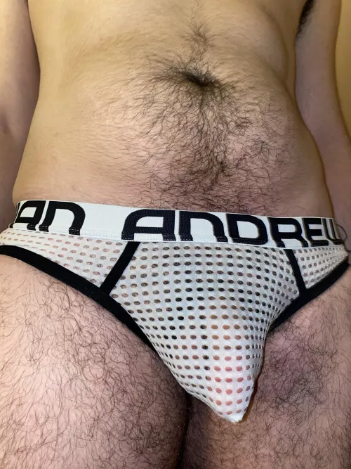 What do you think? by pup_alister