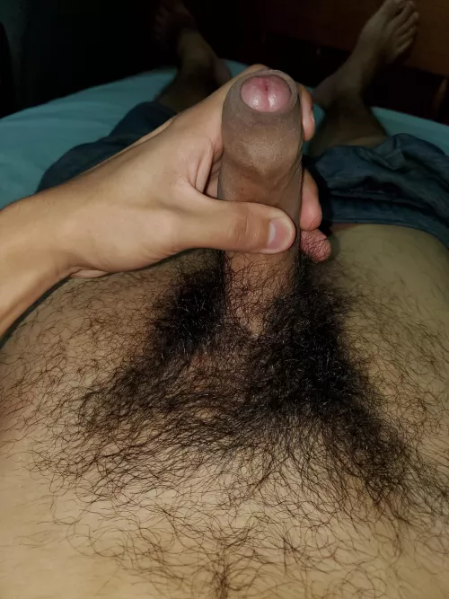 what do you think guys think? by Yadygh