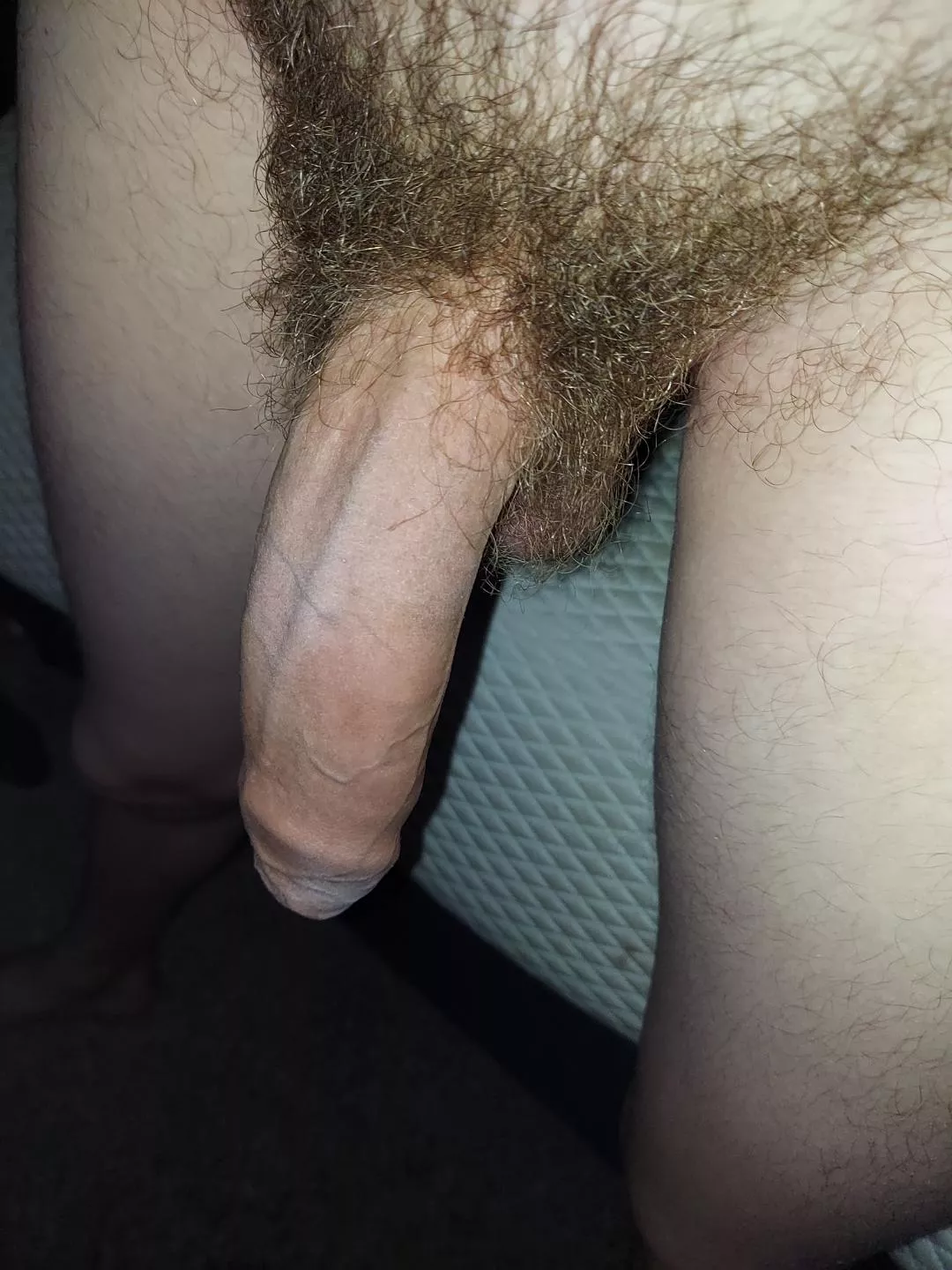 what do you think of my 18 year old dick? posted by Crazy_Layer6437