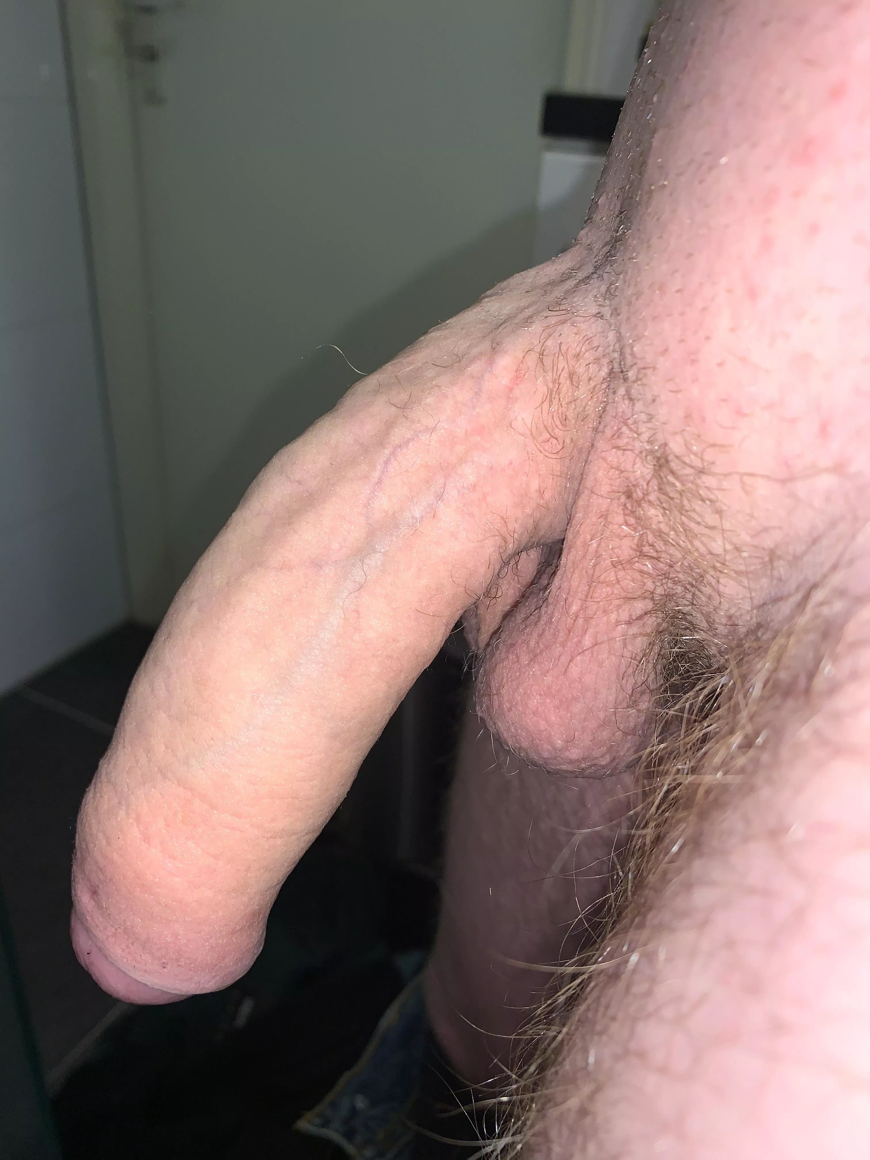What do you think of my 19 years old cock? posted by DutchAres