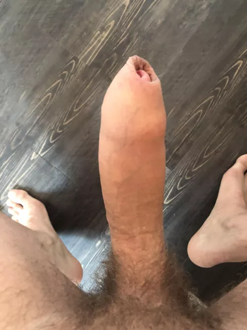 What do you think of my cock and foreskin? by AmericanNatural31