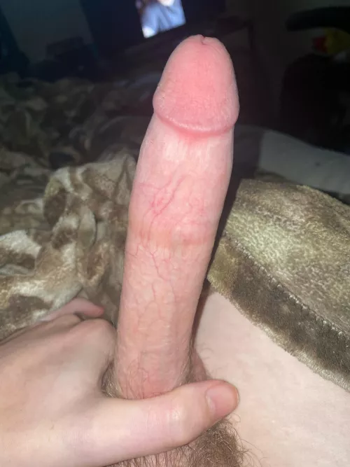 What do you think of my cut cock by Hellish_Gaming