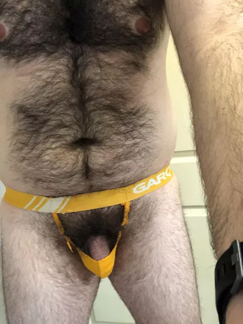 What do you think of my modified briefs? by Imjusttryingtobeme94