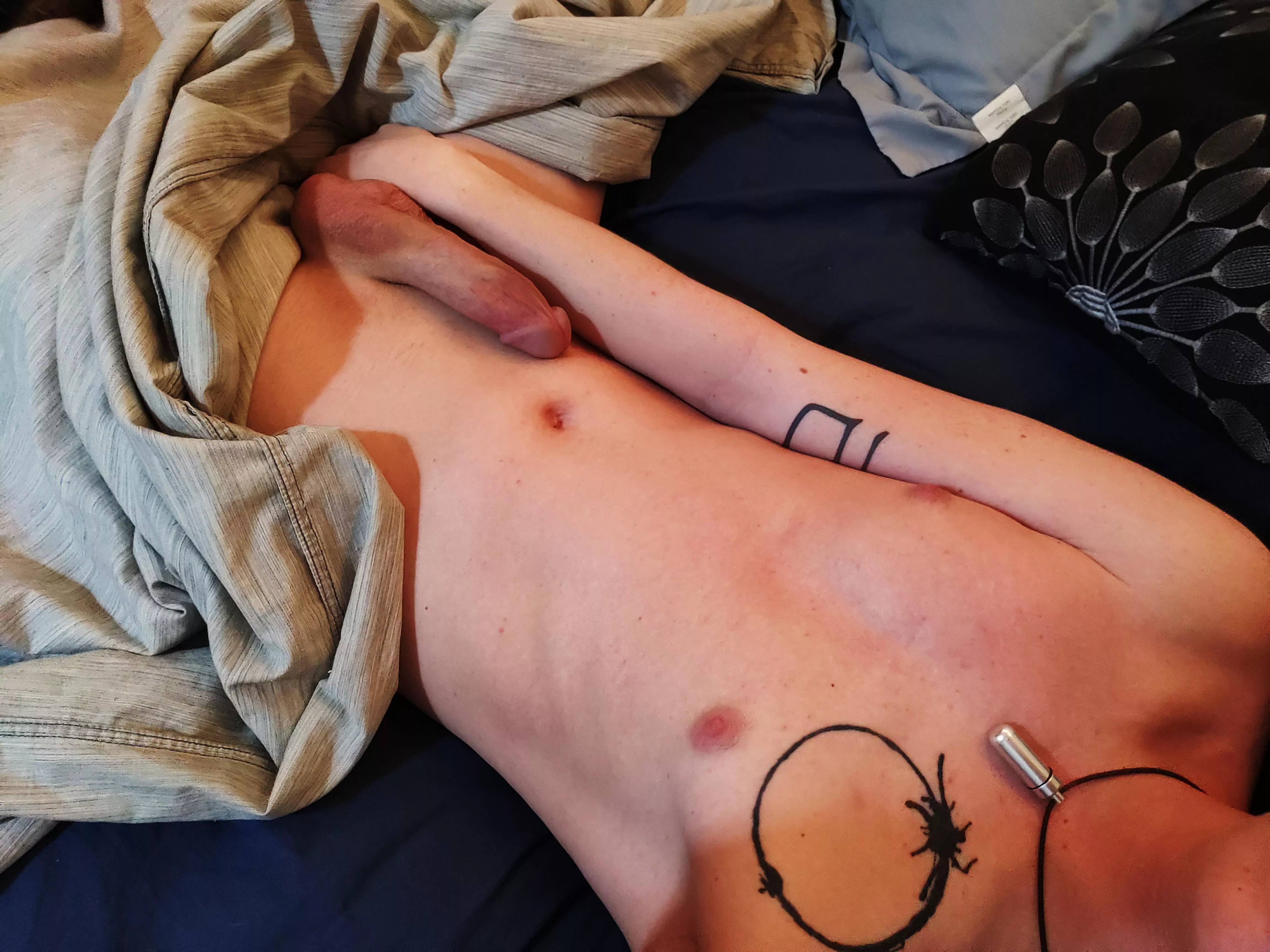 What do you want to do? posted by Regular_Percentage16