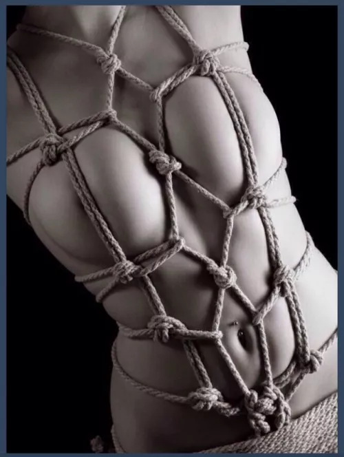 what else? by Haunting_Pound_6479