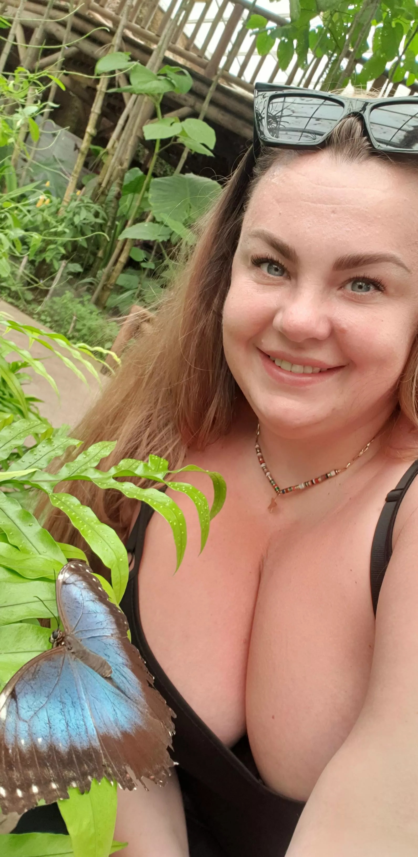 What is better my boobs🍒 or a butterfly🦋 if you saw 🦋😅 posted by South-Ad-9819