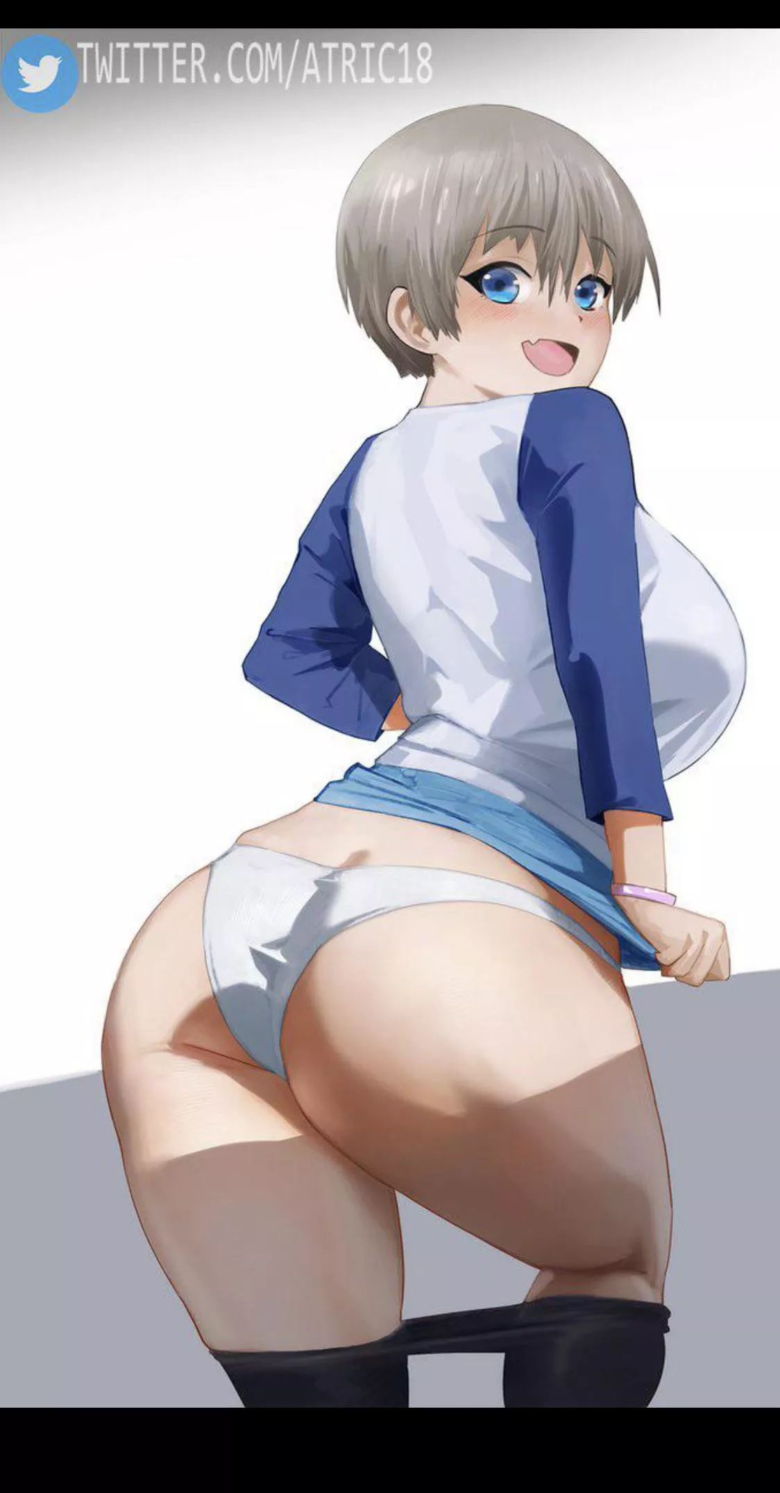 What is the genre of hentai that revolves around specifically these types of panties (not g strings or thongs) [atric18] posted by Competitive-Cattle64