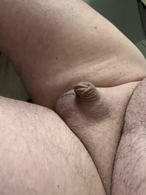 What it looks like inverted and fully relaxed minding its own business by therickdick