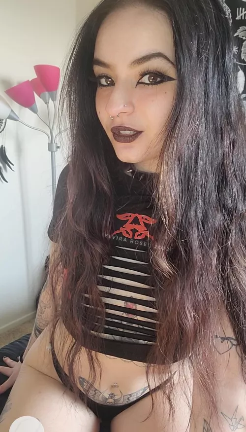 what kind of trouble are we getting into today? by elvirarose_923