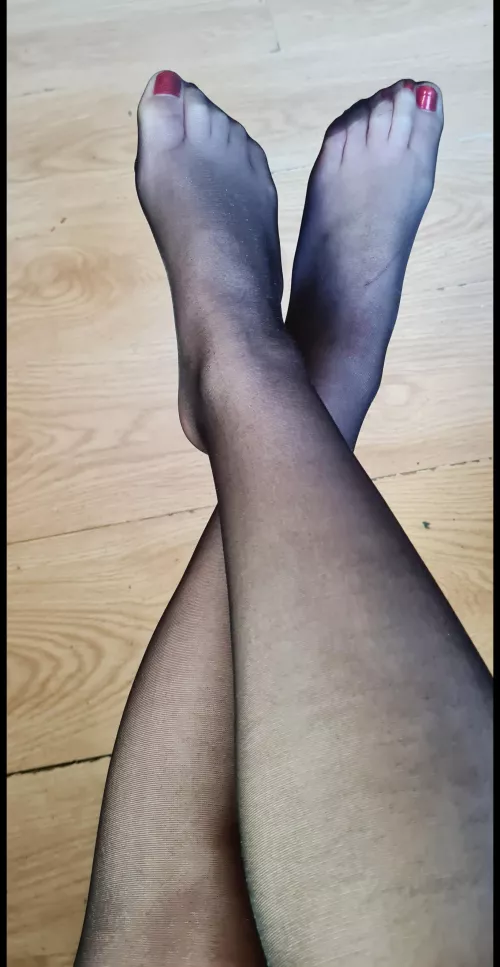 What kind/color of nylons are your favorite? by No-Nefariousness8872