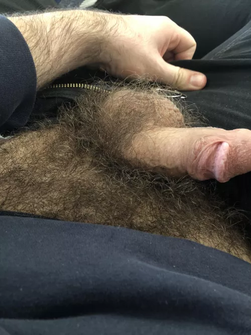 What say you!! by Imjusttryingtobeme94