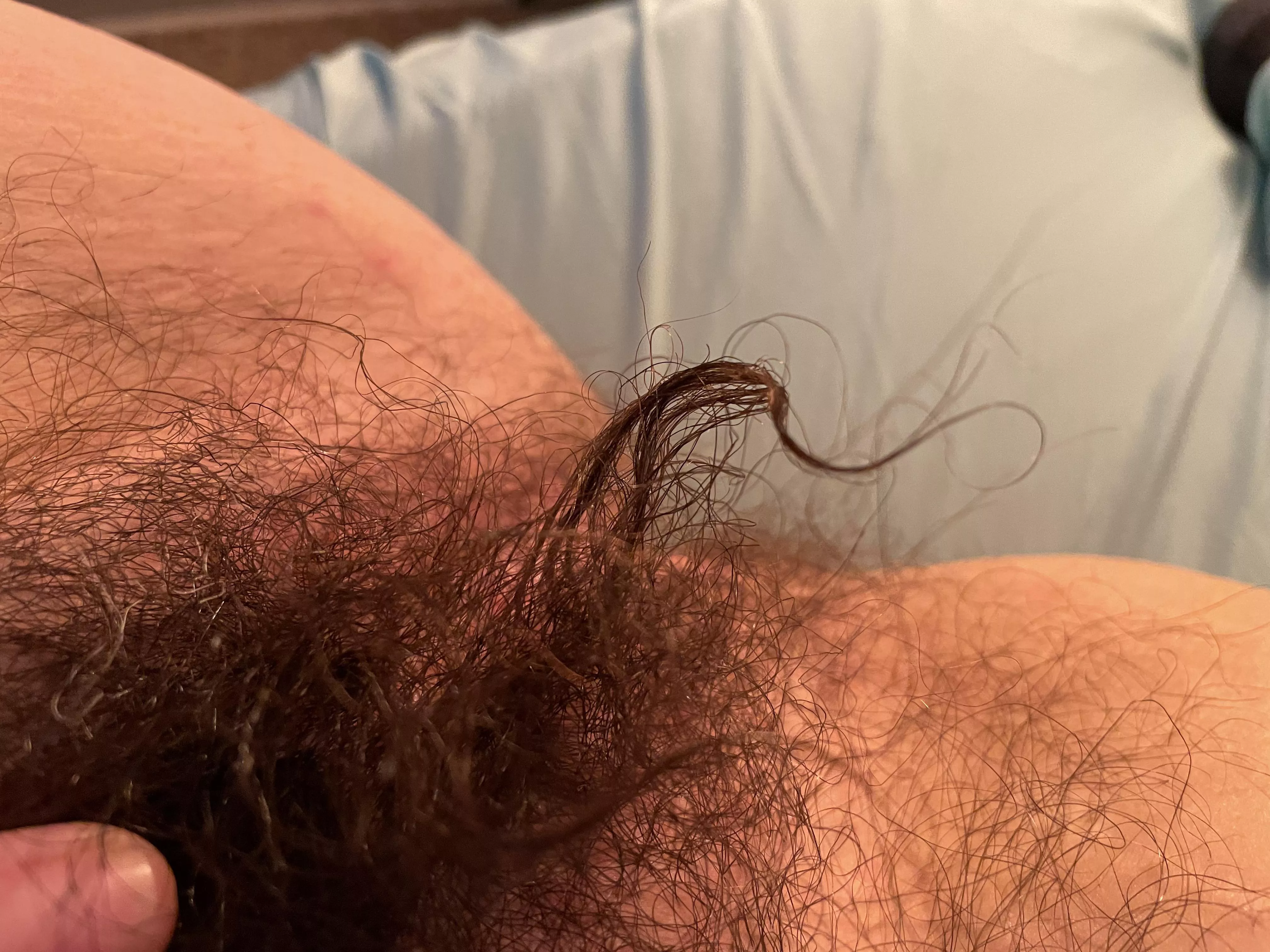 What she looks like when she gets wet.. posted by fairandhairy