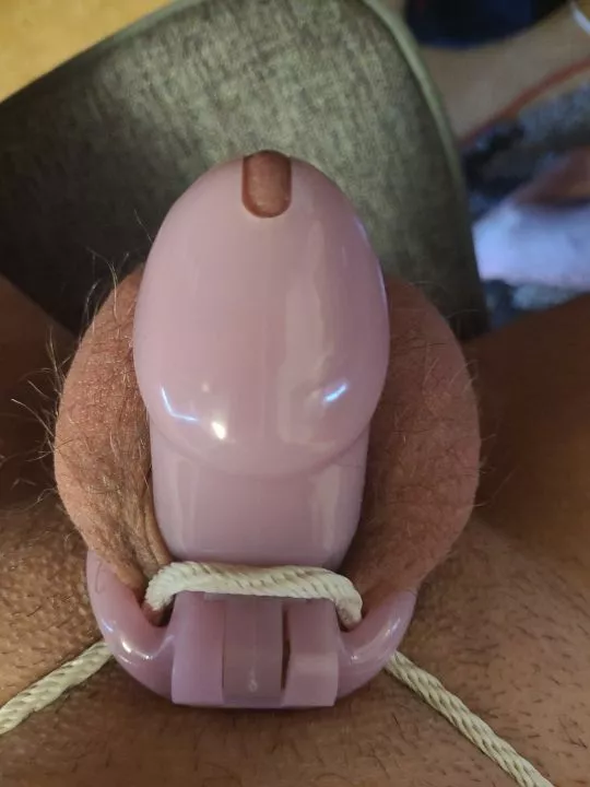 What should my next step be? Need to shave but what after that? posted by MisstressMs_sissy