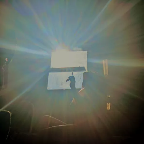 What Sundays were made (f)or. Enjoy yourselves today Ents, I know I will by DaddysCuriousKitty