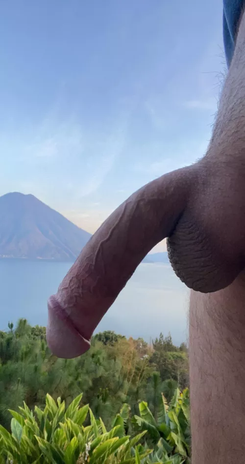 what would do with this perfect cut cock by Spare-House