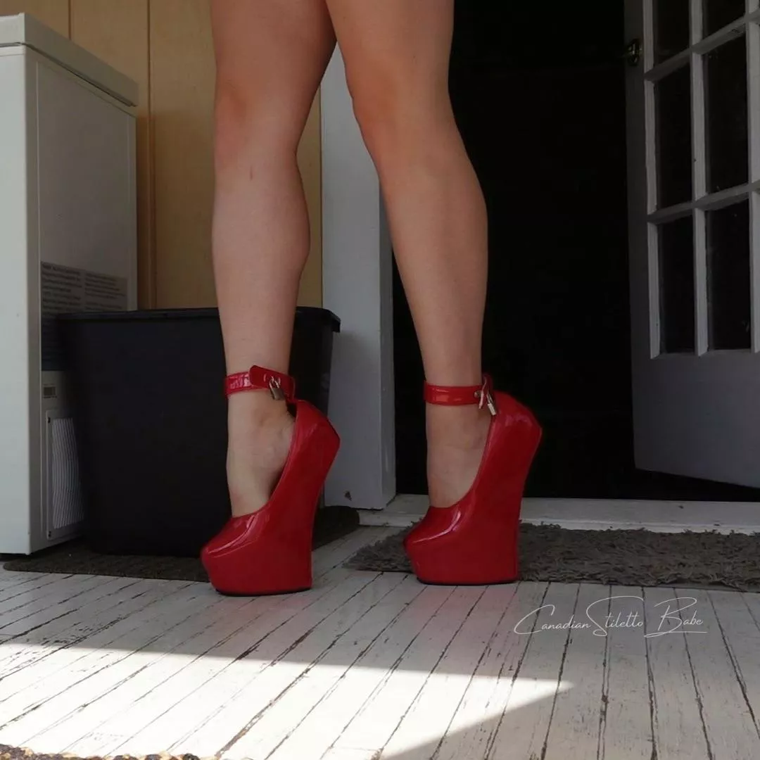 What would you call these 🤔 posted by kinkycurvyy