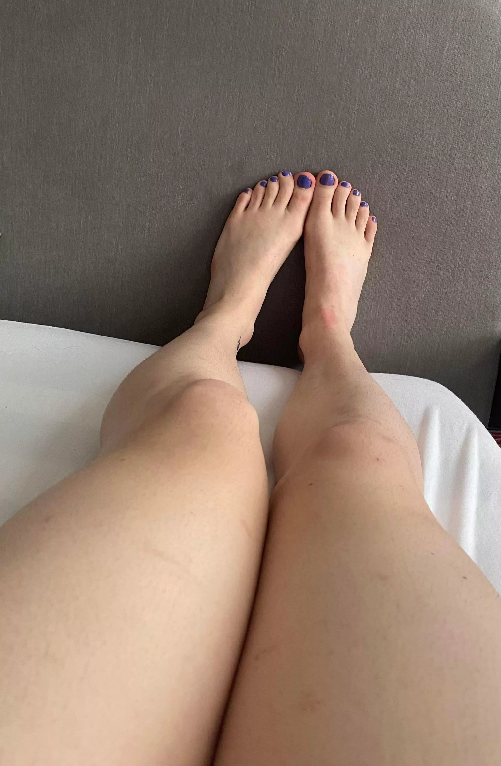 What would you do? posted by nybby1134