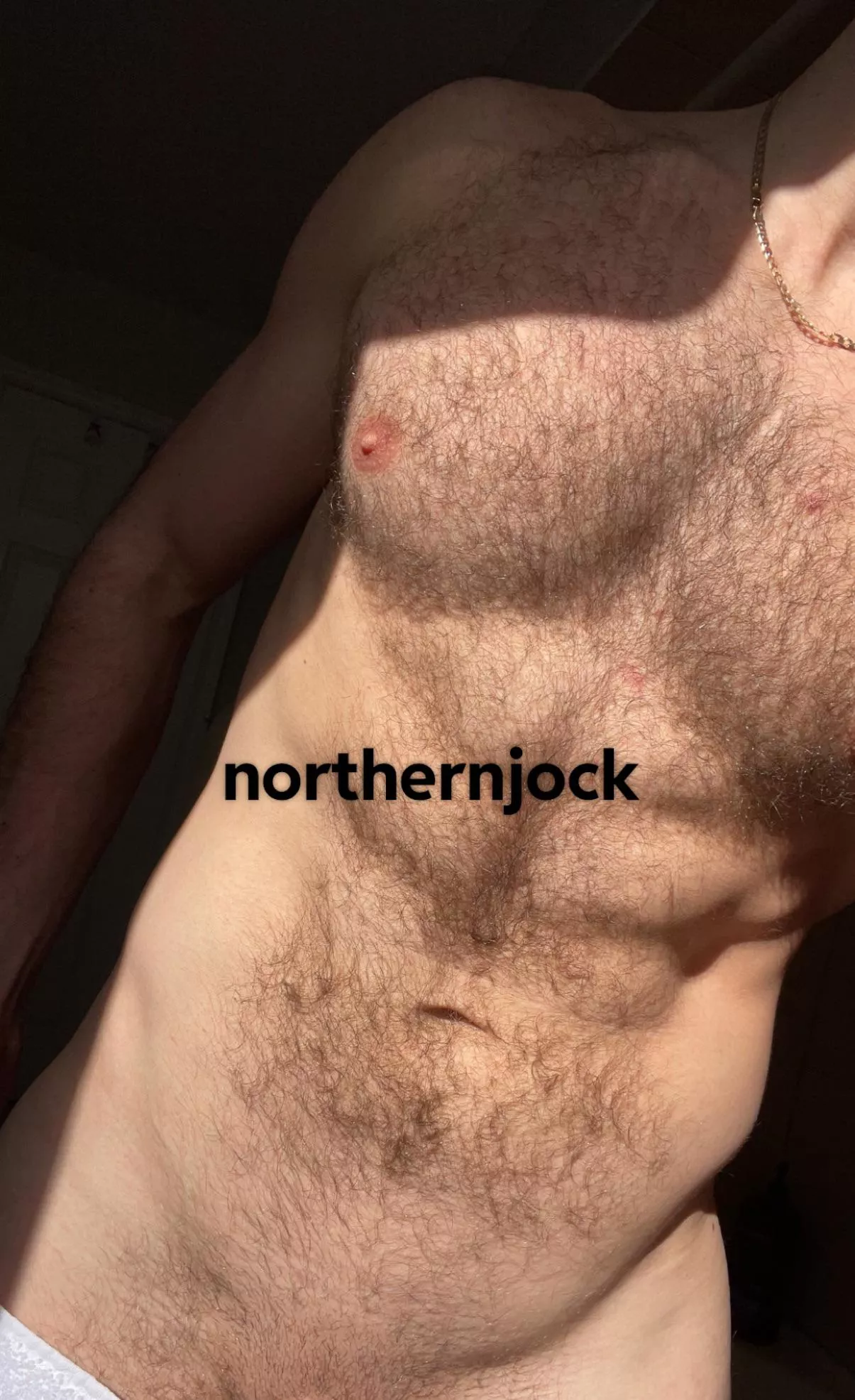 What would you do if I was your neighbour? posted by northernjock