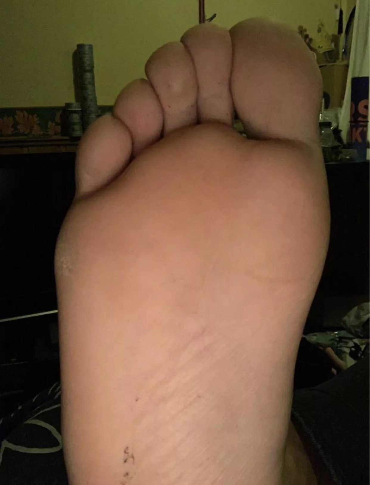 What would you do if this was In front of you? posted by litagotog