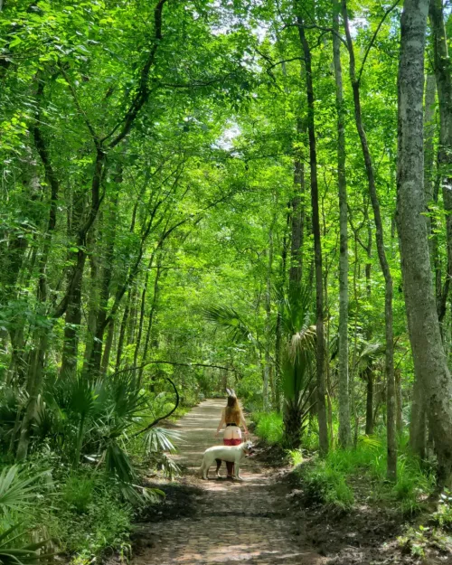 what would you do if you Stumbled across a Bunny🥕🧡 by mypurgatoryplayroom