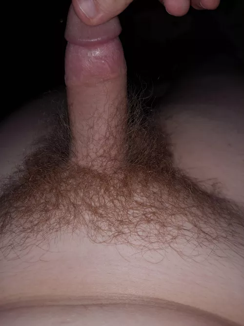 what would you do if you walked in on this? by According-Narwhal789