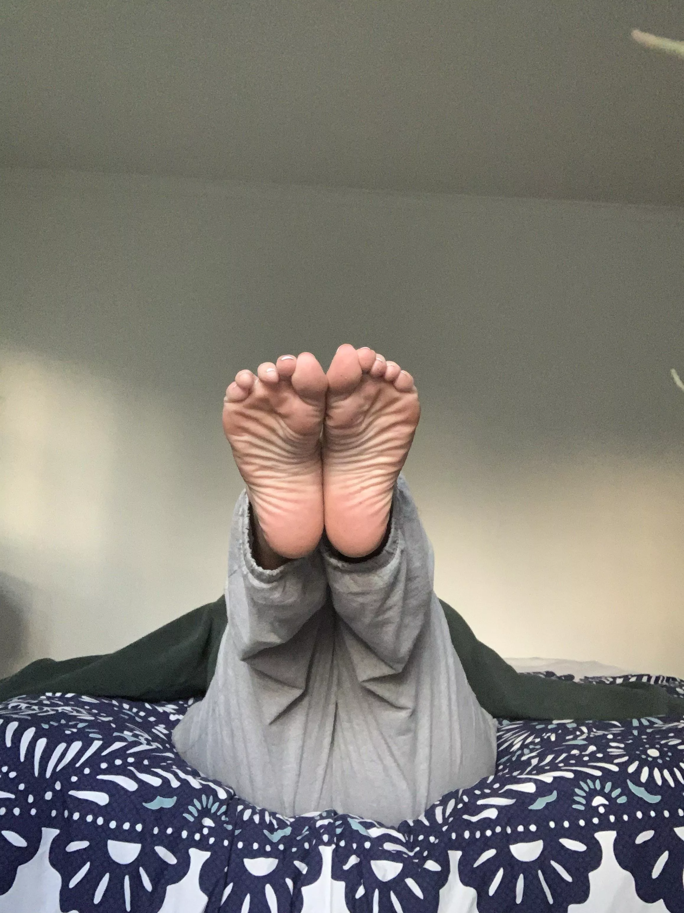 What would you do with my soles in your face? posted by barefootbarracuda