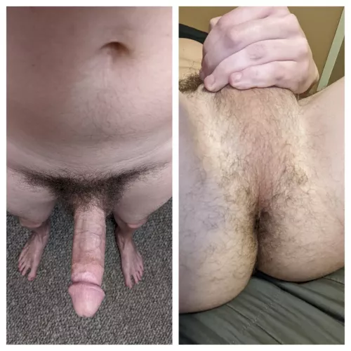 what would you rather play? by me_him_