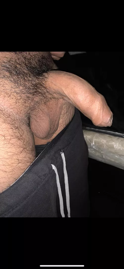 What y’all think by alex19493