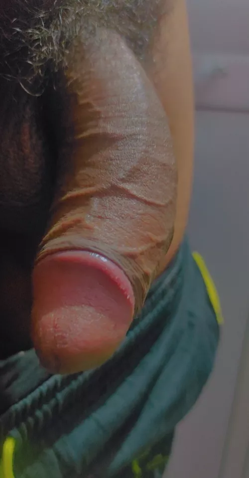 What you like more pubes or dick? by curiousdick95