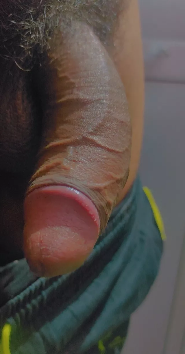 What you like more pubes or dick? posted by curiousdick95