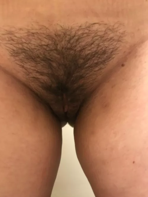 what you reckon? by canhubbywatch