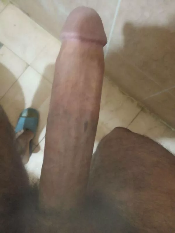 What you will with him posted by Bigbounes