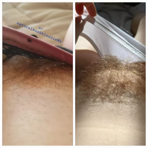 What's better than a hairy blonde? Two hairy blondes (featuring u/naturalbushblondieNz) by efiwfsn