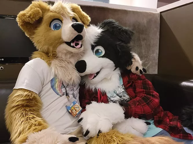 What's cuter than one happy collie? Two happy collies! by AReally_Cool_Hat