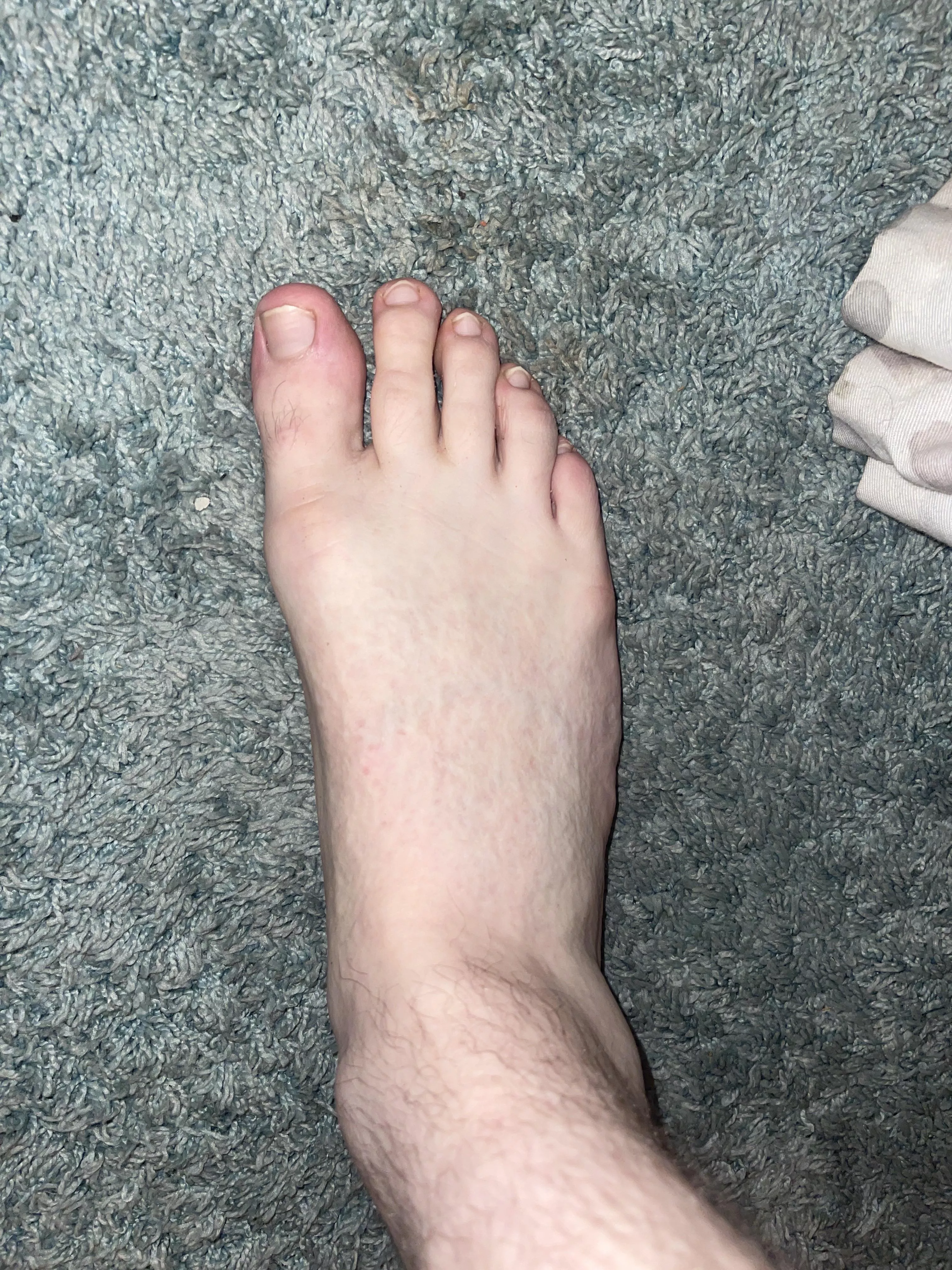 What’s everyone doing today posted by WeirdWorldliness7846